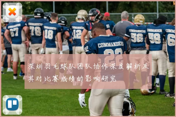深圳羽毛球队团队协作深度解析及其对比赛成绩的影响研究
