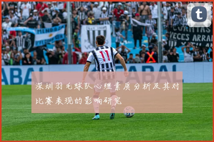 深圳羽毛球队心理素质分析及其对比赛表现的影响研究