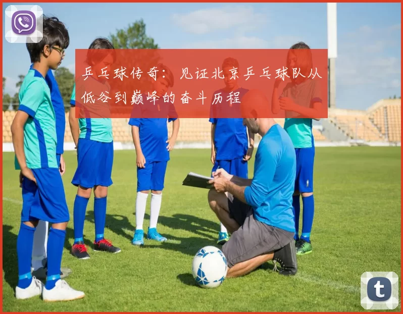 乒乓球传奇：见证北京乒乓球队从低谷到巅峰的奋斗历程