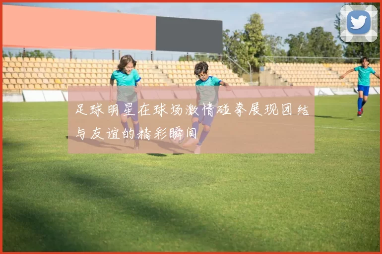 足球明星在球场激情碰拳展现团结与友谊的精彩瞬间