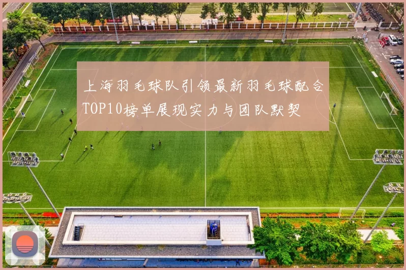 上海羽毛球队引领最新羽毛球配合TOP10榜单展现实力与团队默契