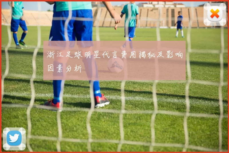 浙江足球明星代言费用揭秘及影响因素分析