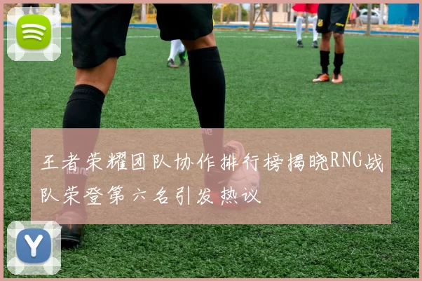 王者荣耀团队协作排行榜揭晓RNG战队荣登第六名引发热议