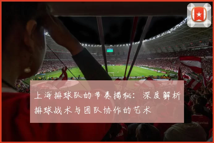 上海排球队的节奏揭秘：深度解析排球战术与团队协作的艺术