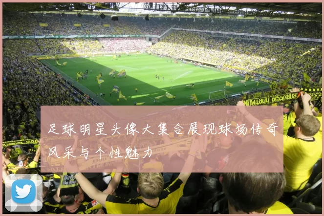 足球明星头像大集合展现球场传奇风采与个性魅力