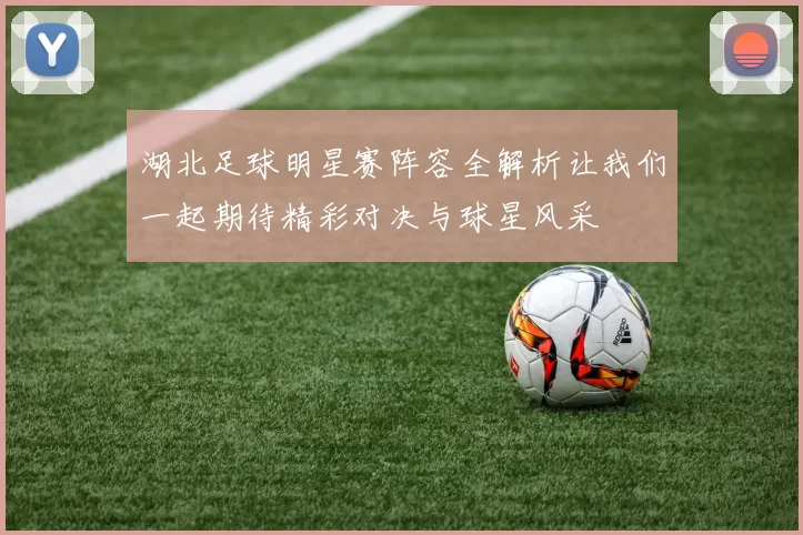 湖北足球明星赛阵容全解析让我们一起期待精彩对决与球星风采