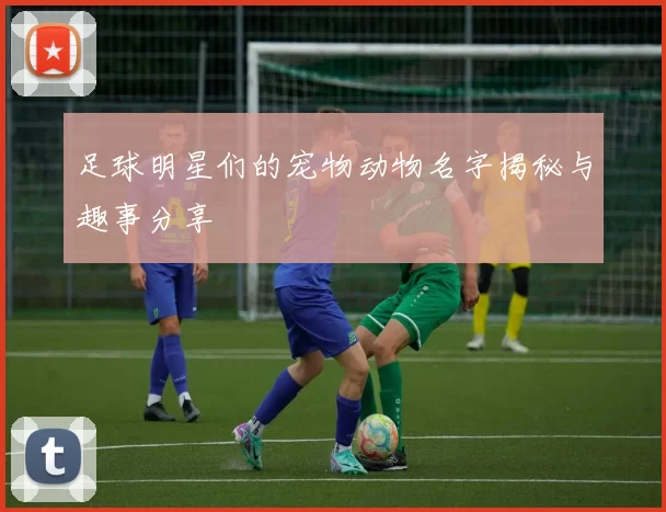 足球明星们的宠物动物名字揭秘与趣事分享