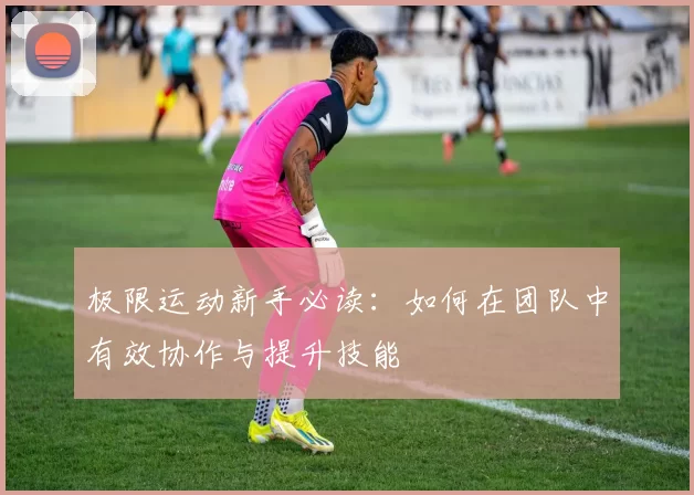 极限运动新手必读：如何在团队中有效协作与提升技能