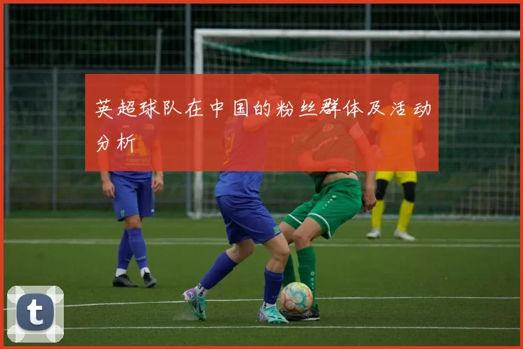 英超球队在中国的粉丝群体及活动分析