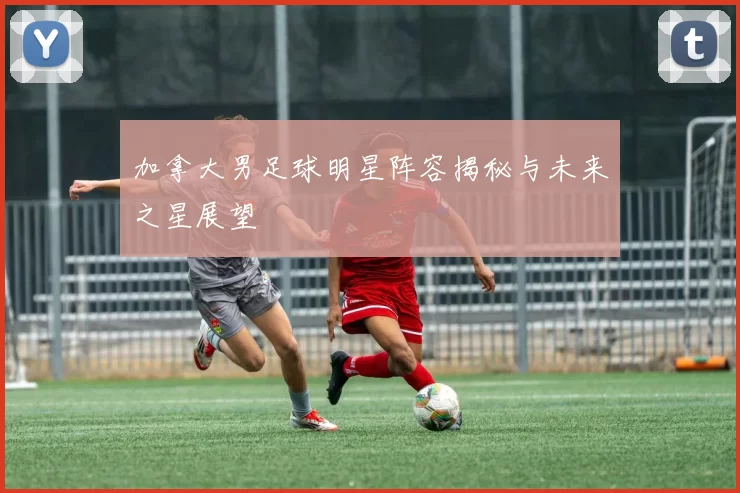加拿大男足球明星阵容揭秘与未来之星展望