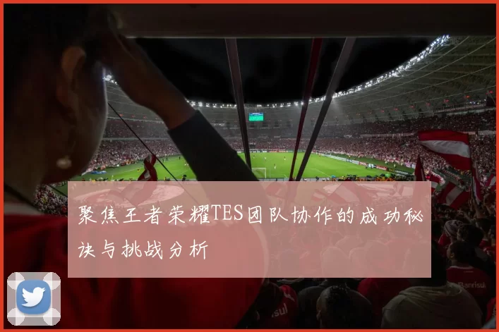 聚焦王者荣耀TES团队协作的成功秘诀与挑战分析