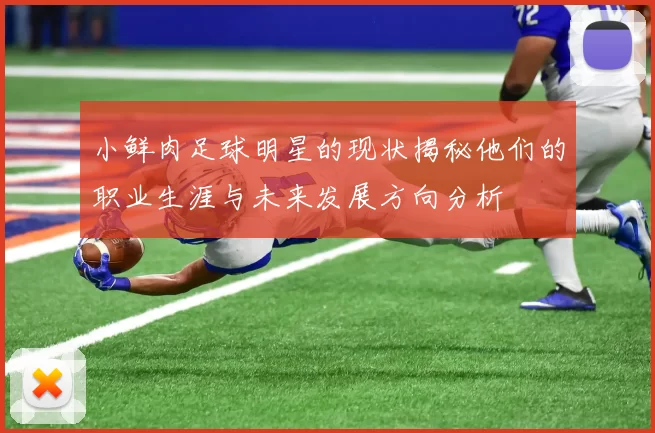 小鲜肉足球明星的现状揭秘他们的职业生涯与未来发展方向分析
