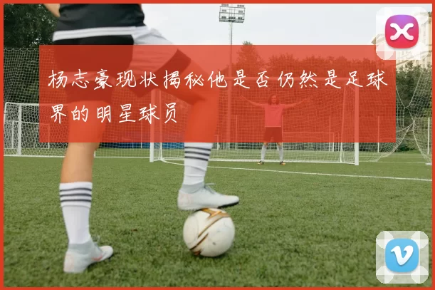 杨志豪现状揭秘他是否仍然是足球界的明星球员