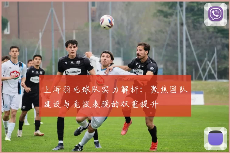 上海羽毛球队实力解析：聚焦团队建设与竞技表现的双重提升