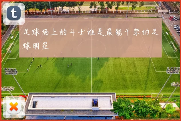 足球场上的斗士谁是最能干架的足球明星