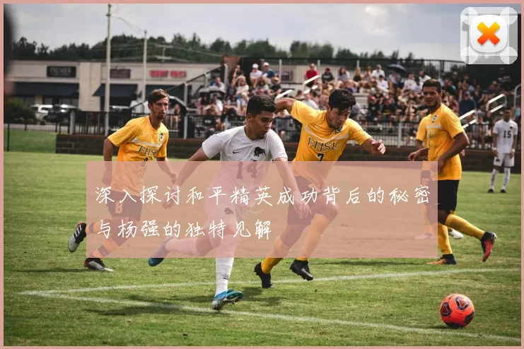 深入探讨和平精英成功背后的秘密与杨强的独特见解