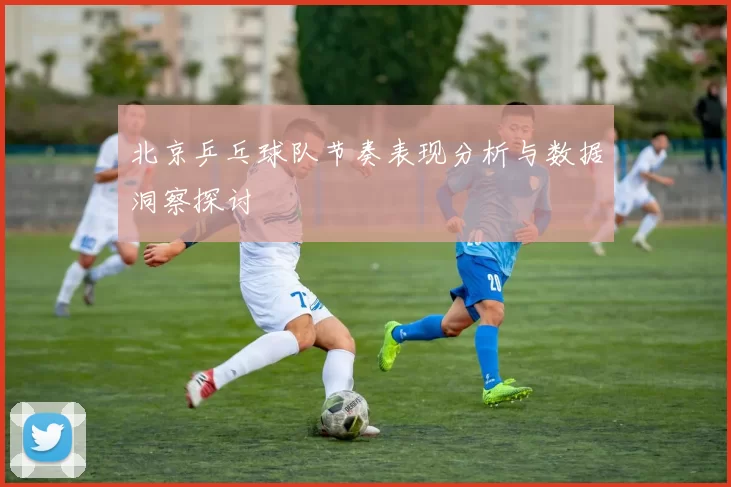 北京乒乓球队节奏表现分析与数据洞察探讨