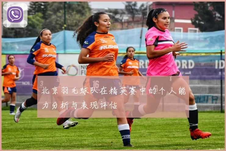 北京羽毛球队在精英赛中的个人能力分析与表现评估