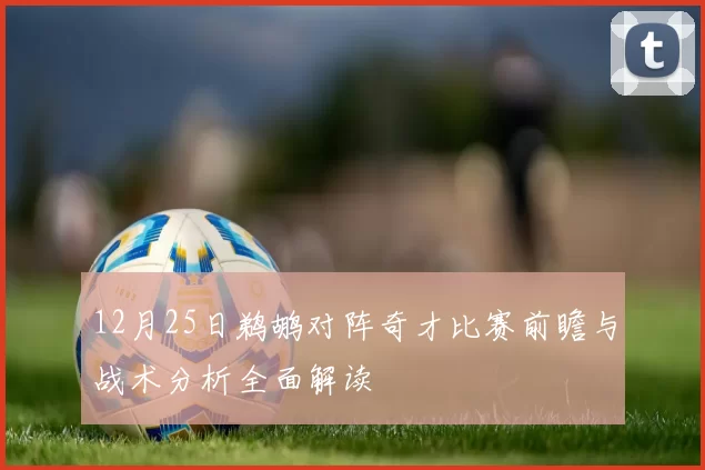 12月25日鹈鹕对阵奇才比赛前瞻与战术分析全面解读