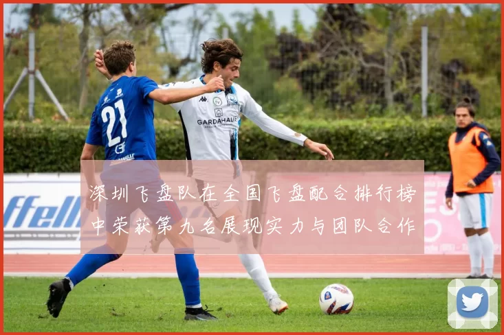 深圳飞盘队在全国飞盘配合排行榜中荣获第九名展现实力与团队合作精神
