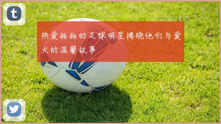 热爱狗狗的足球明星揭晓他们与爱犬的温馨故事