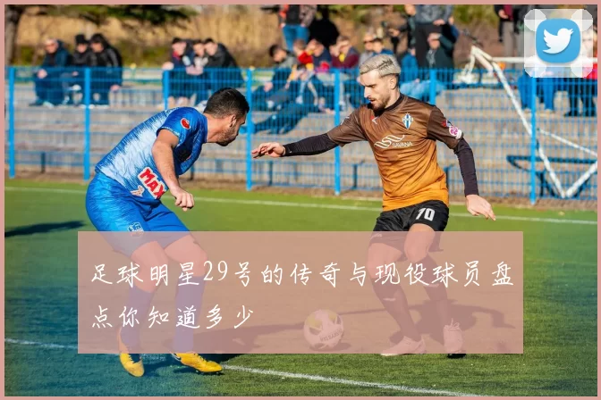 足球明星29号的传奇与现役球员盘点你知道多少