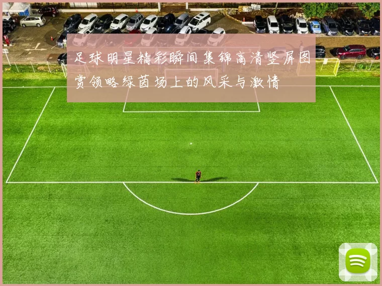 足球明星精彩瞬间集锦高清竖屏图赏领略绿茵场上的风采与激情