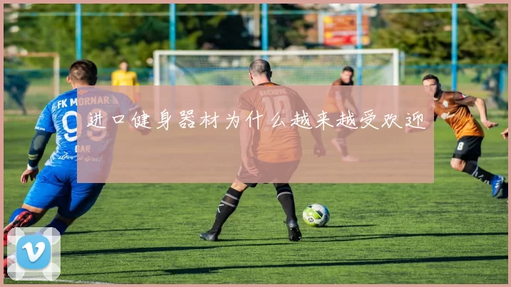 进口健身器材为什么越来越受欢迎