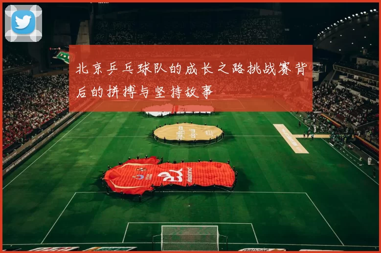 北京乒乓球队的成长之路挑战赛背后的拼搏与坚持故事
